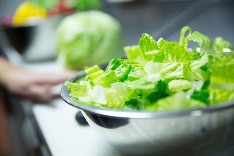 Iceberg Lettuce Salads