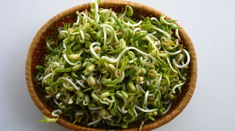 Raw Sprouts